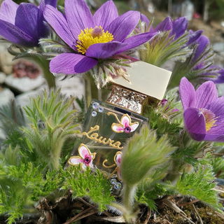 Laura - Parfümerie Brückner