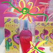 Nicht mal der Umkarton ist wirklich schön... Design-Disaster. (von Gold)