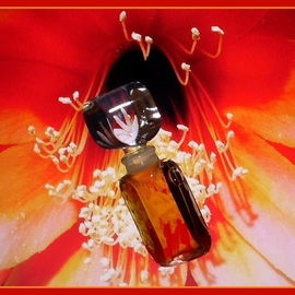 Enjoli - Revlon / Charles Revson
