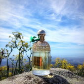 Foia, der höchster Punkt Monchique Gebirge Algarve. Windstärke 61 KmH (von Irini)