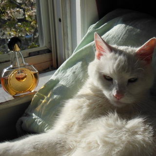 Mahora (Eau de Parfum) von Guerlain
