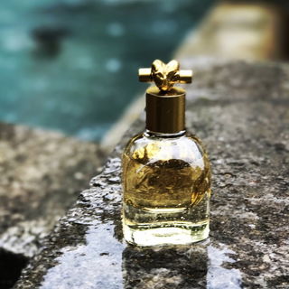Knot - Bottega Veneta