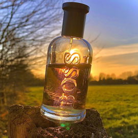 Boss Bottled Intense (Eau de Parfum) - Hugo Boss