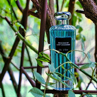 Requiem Of Lost Memories - Jean Poivre