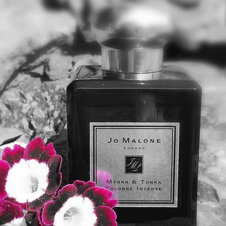 Myrrh & Tonka (Cologne Intense) von Jo Malone