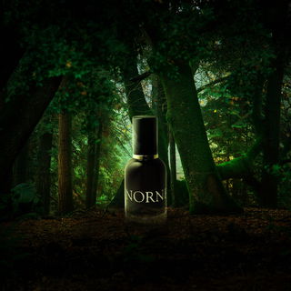 Born in shade and humid floor, in the realm of trees that ever mourn, tears of bitterness they pour, for their fallen ancestor, the greatest tree that lives no more, now lives through them more than before. Norne