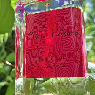 Pacific Lime - Atelier Cologne