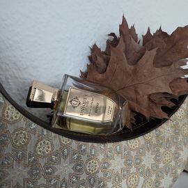 Rare Reef - Afnan Perfumes