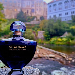 Die Prinzessin wandelt am Fluss, im Schatten ihrer Gemächer... an der Moldau, Tschechien;..... ich danke euch sehr für euren Besuch 🫶