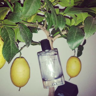 Vibrant Leather (2018) (Eau de Parfum) by Zara