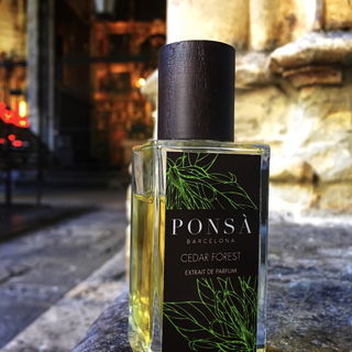 Catedral de Barcelona ~ ein Moment zum verweilen