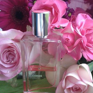 Everose - Jil Sander
