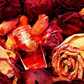 Secrets d'Essences - Rose Absolue (Eau de Parfum) von Yves Rocher