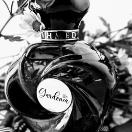Name ≠ Scent
