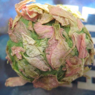 Flower`s Barrow Bath Oil Melt