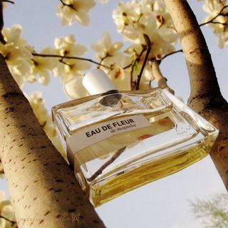 Eau de Fleur de Magnolia - Kenzo