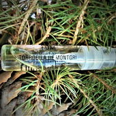 Katalonische Koniferen (von Floyd)