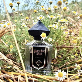 Paradise Soil