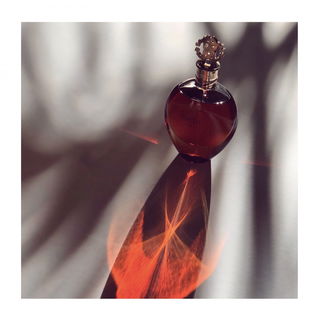 Roberto Cavalli Essenza - Roberto Cavalli