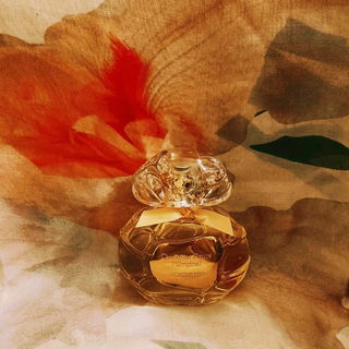 von Manonlescaut