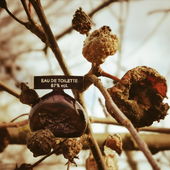 Schrumpelig (by Gandix)