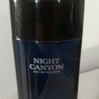 Night Canyon von Real Time