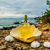 The Birth of Meringue Venus✨💙🌊 (👉 https://youtu.be/aab_vVZmOG0?si=lD3ZSqjyoogh72ZZ 🎶🎸) (von Lempi)