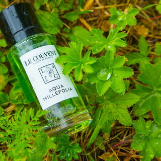 Aqua Millefolia - Le Couvent