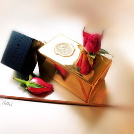 The Ritual of Oudh pour Femme - Rituals
