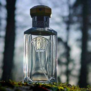 The Dreamer (Eau de Toilette) - Versace