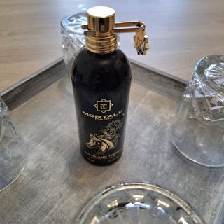 Arabians Tonka by Montale
