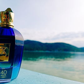 2. Nawab of Oudh Intensivo - Ormonde Jayne