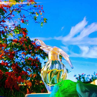 L'Air du Temps (Eau de Toilette) - Nina Ricci