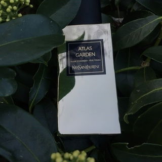 Atlas Garden - Yves Saint Laurent