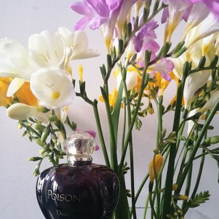 Poison (Eau de Toilette) von Dior
