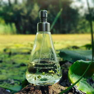 shi_sõ - Nomenclature