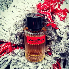 Ist der Wischmopp verschlissen genug...? #wear&tear Verschleiß für Fresh21