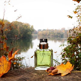 Eternity for Men (Eau de Toilette) - Calvin Klein