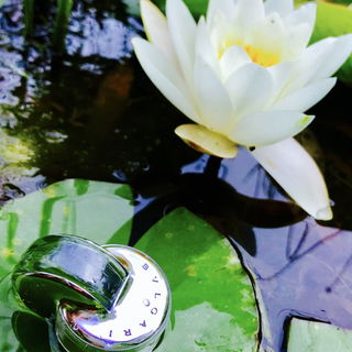 Ihr Lieben, ich schicke Euch sommerliche Grüße vom Wörthersee!:-))