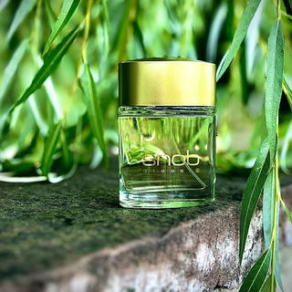 …📷🌍 Thank you. Danke schön. Merci beaucoup. Muchas gracias. Dōmo arigatō gozaimasu 💐…