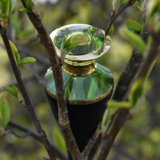 Dahlia Divin Le Nectar de Parfum - Givenchy