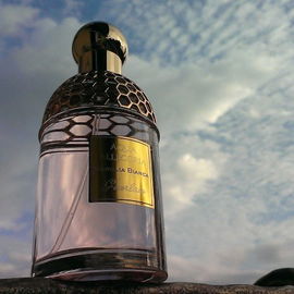 Aqua Allegoria Nerolia Bianca - Guerlain