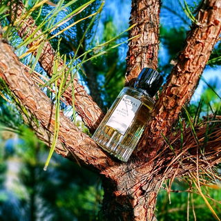 Bois d'Hadrien - Goutal