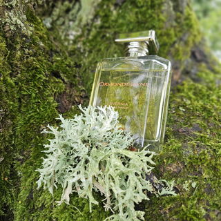 Evernia (Eau de Parfum) - Ormonde Jayne