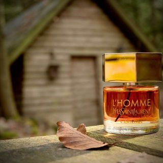 L'Homme L'Intense - Yves Saint Laurent