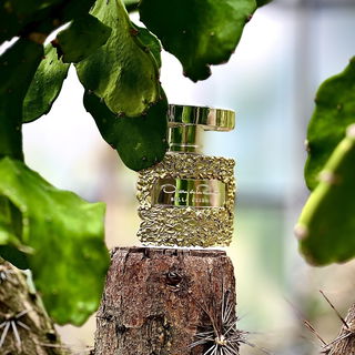 …📷🌍 Thank you. Danke schön. Merci beaucoup. Muchas gracias. Dōmo arigatō gozaimasu 💐…