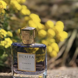 Splendiris - Dusita