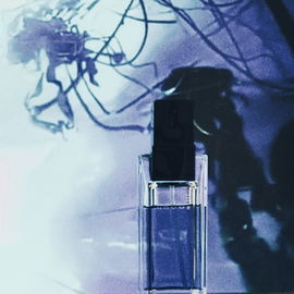Sung Homme (Eau de Toilette) - Alfred Sung