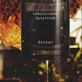 Nektar - Laboratorio Olfattivo