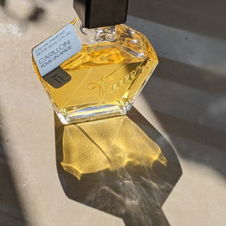 № 11 - Carillon pour un Ange - Tauer Perfumes